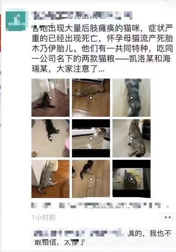 网友爆料猫粮“致宠物瘫痪”涉事企业澄清称产品安全 送检结果合格