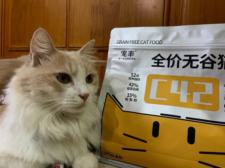 口碑最好的8款猫粮建议赶紧冲！