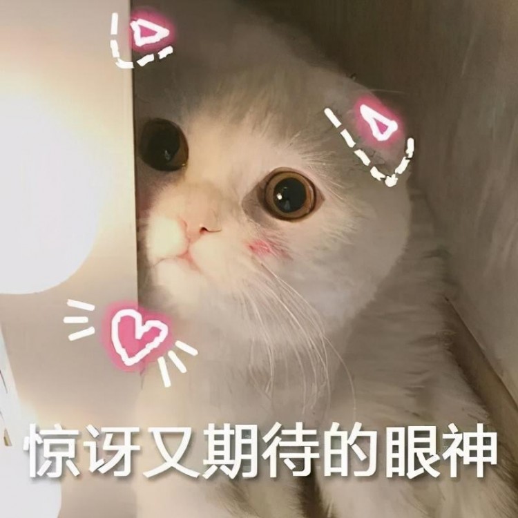 宠物猫的泪痕怎么去掉？